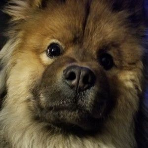 Meet your Posher, September